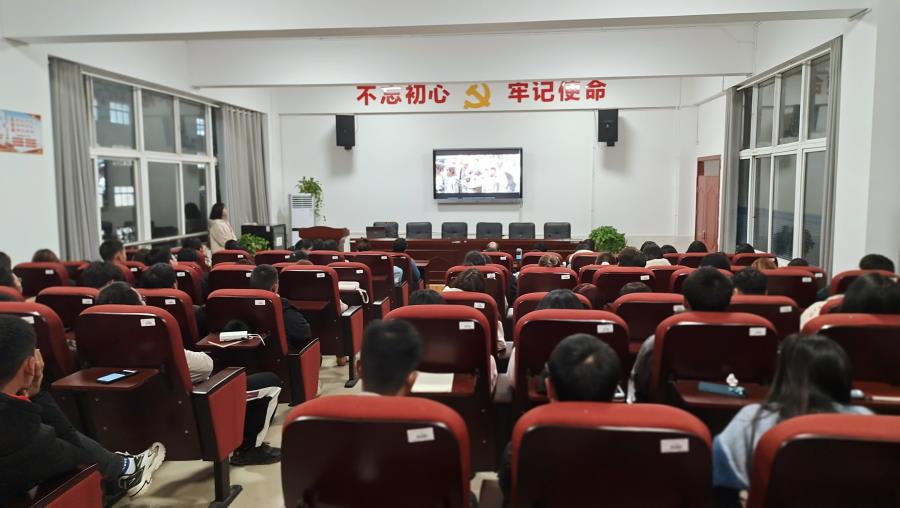观影中.jpg