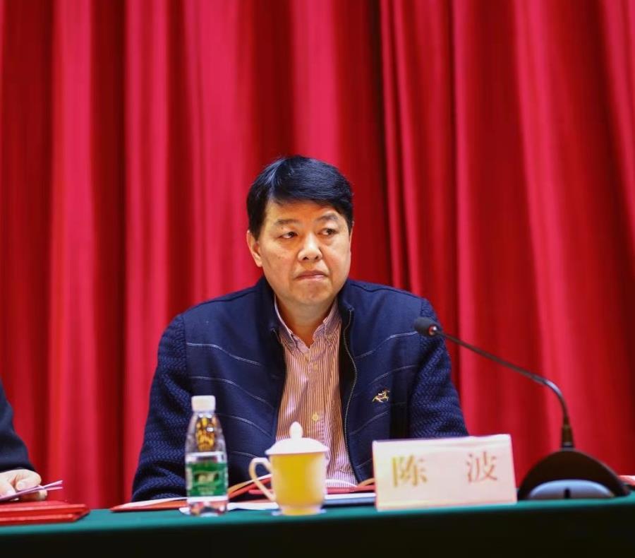 湖南外贸职业学院经理、湖南省职成学会高职外经贸专委会主任委员陈波研究员.jpg